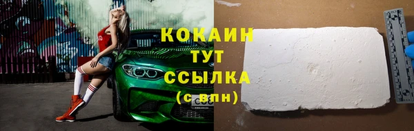 шишки Рославль