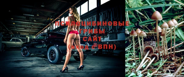 шишки Рославль